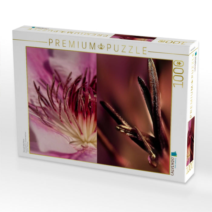 Clematis Nelly Moser - CALVENDO Foto-Puzzle'