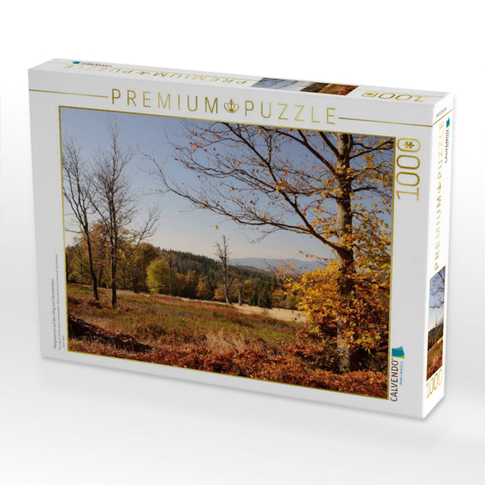 Morgensonne auf dem Weg zum Hirschenstein - CALVENDO Foto-Puzzle'