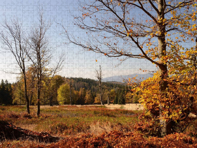 Morgensonne auf dem Weg zum Hirschenstein - CALVENDO Foto-Puzzle'
