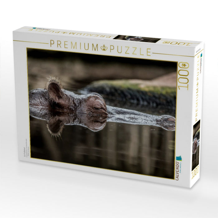 Ein Flußpferd - CALVENDO Foto-Puzzle'