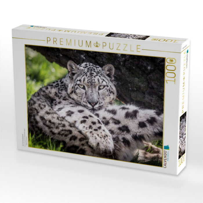 Ein Schneeleopard - CALVENDO Foto-Puzzle'