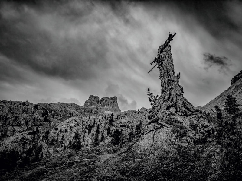 Dolomiten - Verwitterter Baum vor dem Sturm 1000 Teile Puzzle quer - CALVENDO Foto-Puzzle'