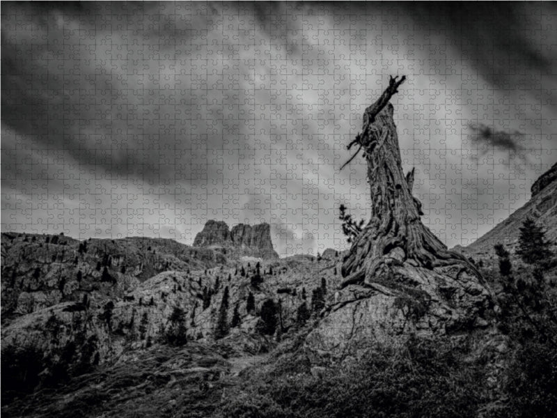 Dolomiten - Verwitterter Baum vor dem Sturm 1000 Teile Puzzle quer - CALVENDO Foto-Puzzle'