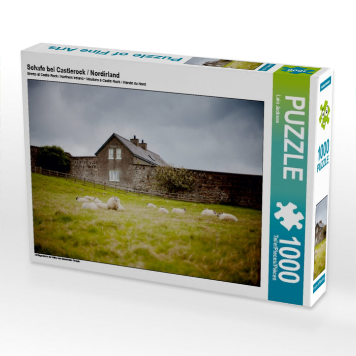 Schafe bei Castlerock / Nordirland 1000 Teile Puzzle quer - CALVENDO Foto-Puzzle'
