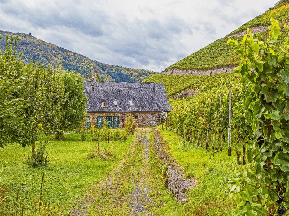 Weingut im Ahrtal - CALVENDO Foto-Puzzle'