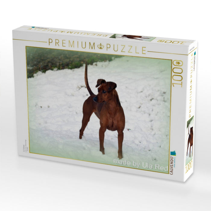 Im Schnee - CALVENDO Foto-Puzzle'
