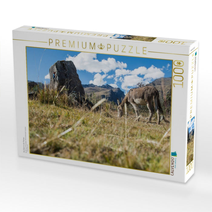 Bouldern in der Pampa - CALVENDO Foto-Puzzle'