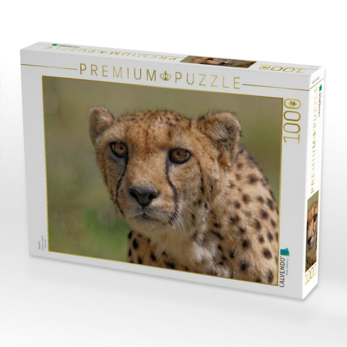 Gepard - CALVENDO Foto-Puzzle'
