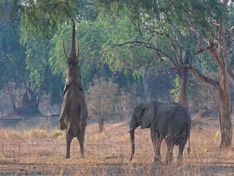 Mana pools Nationalpark - CALVENDO Foto-Puzzle'