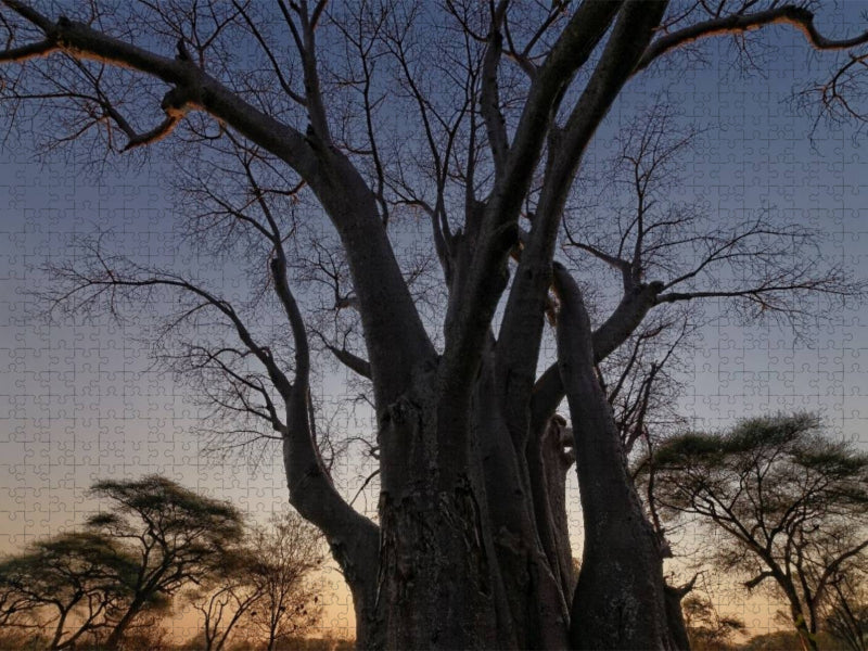 Baobab - CALVENDO Foto-Puzzle'