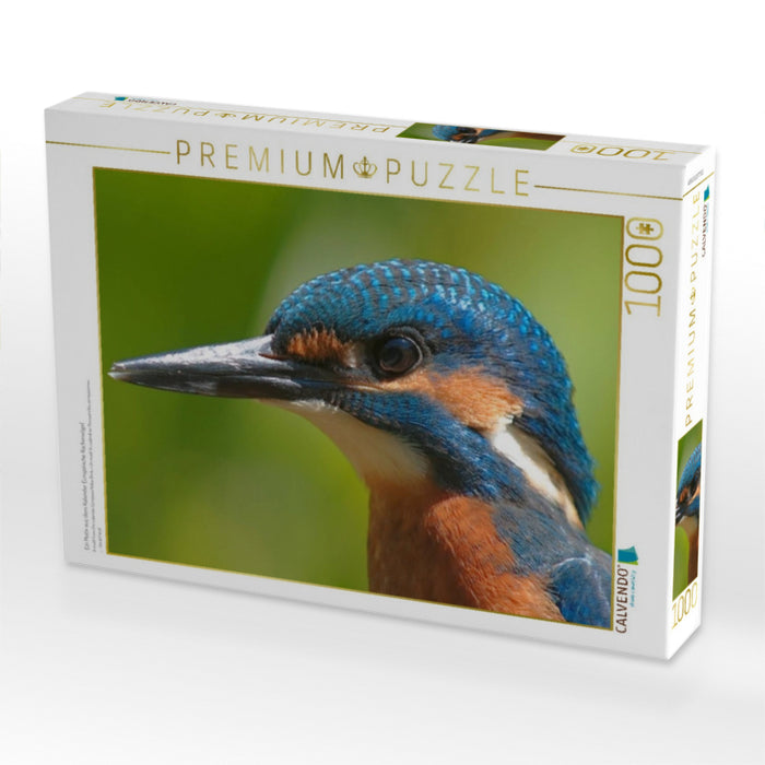 Ein Motiv aus dem Kalender Europäische Rackenvögel - CALVENDO Foto-Puzzle'