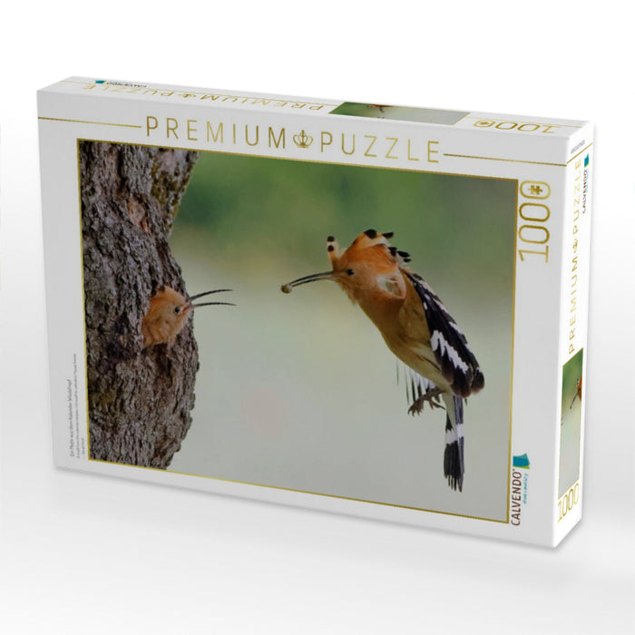 Ein Motiv aus dem Kalender Wiedehopf - CALVENDO Foto-Puzzle'