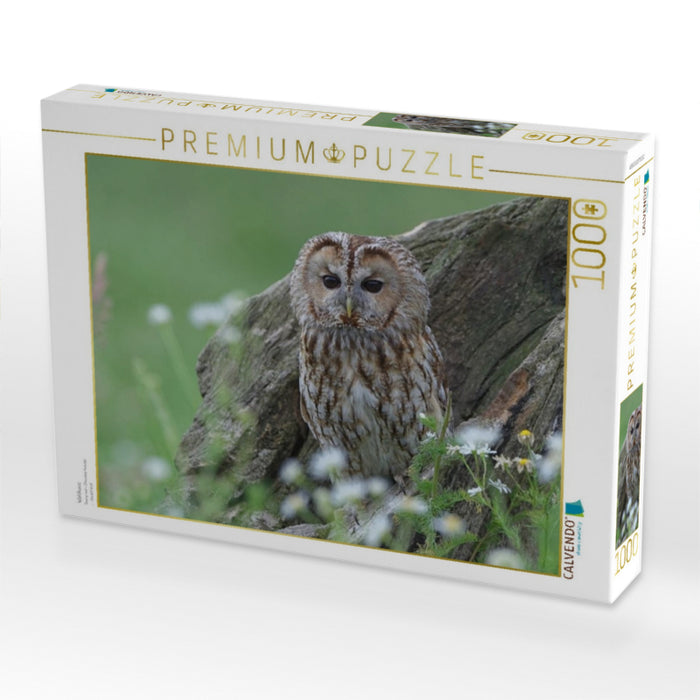 Waldkauz - CALVENDO Foto-Puzzle'