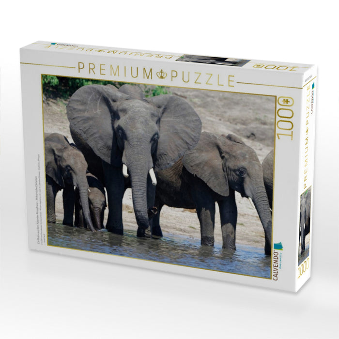 Ein Motiv aus dem Kalender Rüsseltiere - Afrikanische Elefanten - CALVENDO Foto-Puzzle'