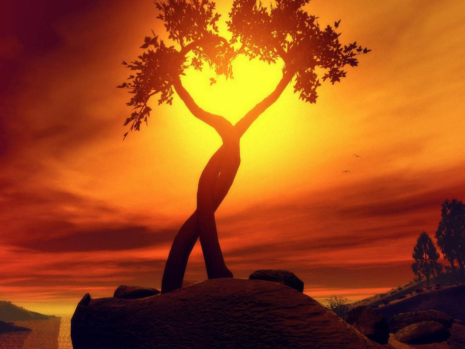 Growing Love - CALVENDO Foto-Puzzle'