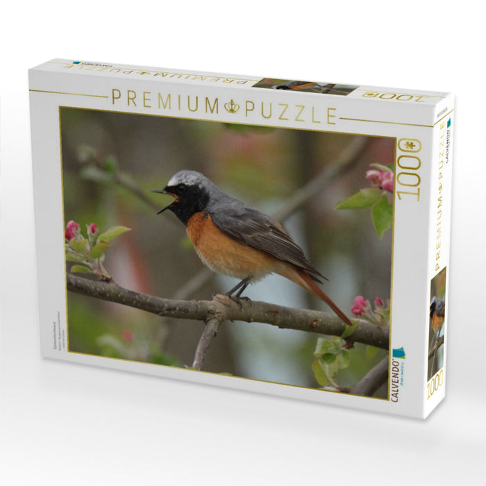 Gartenrotschwanz - CALVENDO Foto-Puzzle'