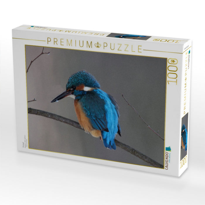 Eisvogel - CALVENDO Foto-Puzzle'