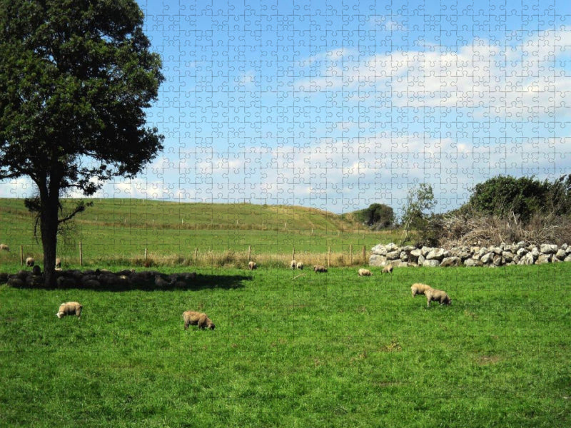 Graslands - CALVENDO Foto-Puzzle'