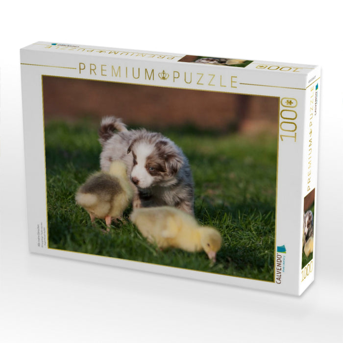 Alle meine Gänschen - CALVENDO Foto-Puzzle'