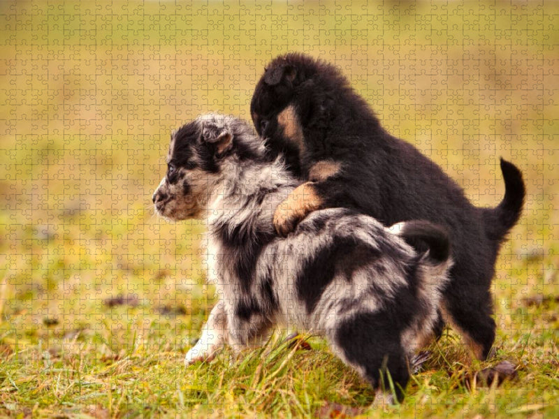 Schnapp Dich - CALVENDO Foto-Puzzle'