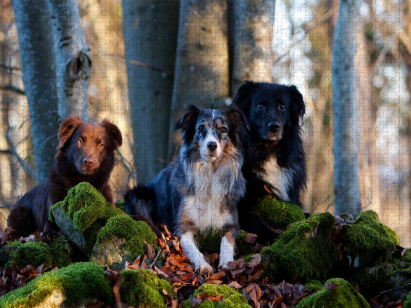 Das Dreigestirn - CALVENDO Foto-Puzzle'