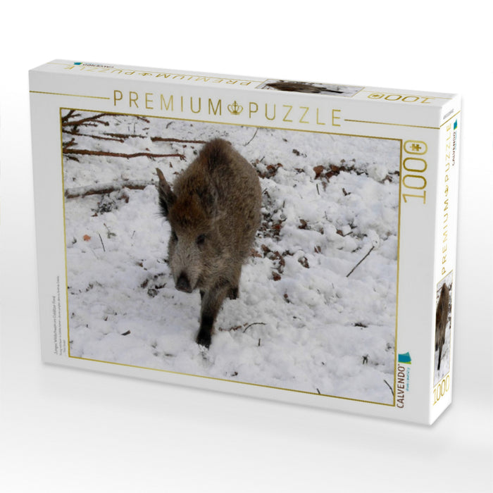 Junges Wildschwein im Colditzer Forst - CALVENDO Foto-Puzzle'