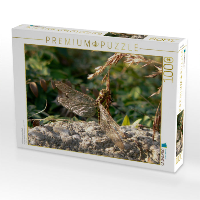 Ährenrettung einer Libelle - CALVENDO Foto-Puzzle'