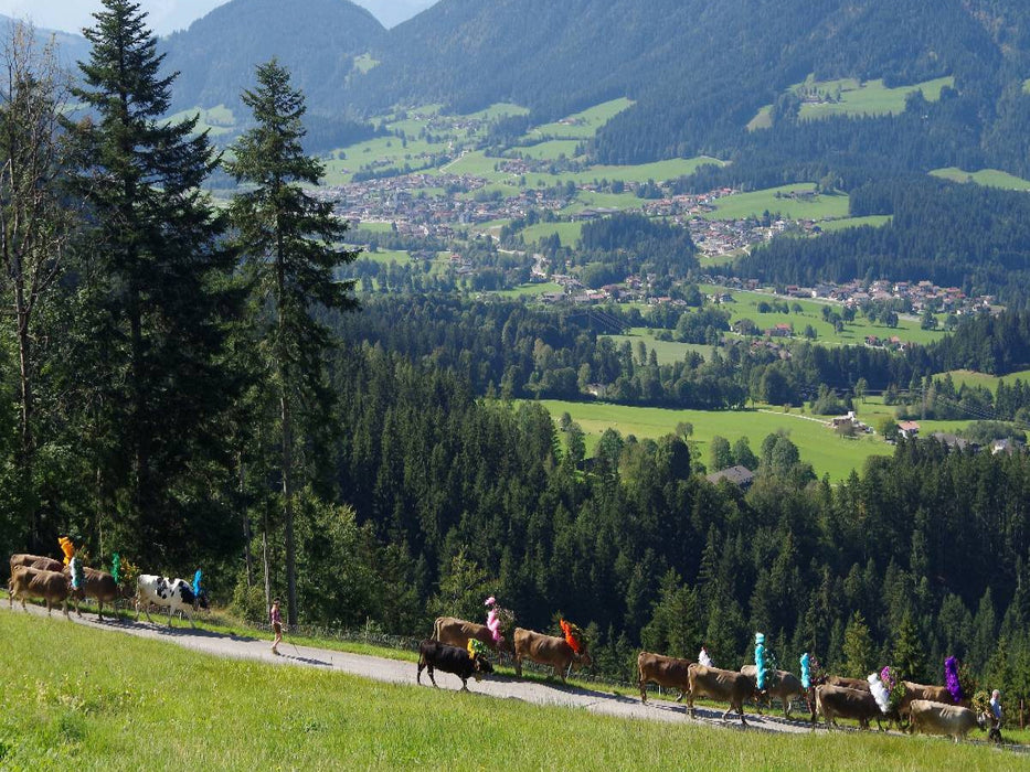 Auf dem Weg durch das "Sölllandl" - CALVENDO Foto-Puzzle'