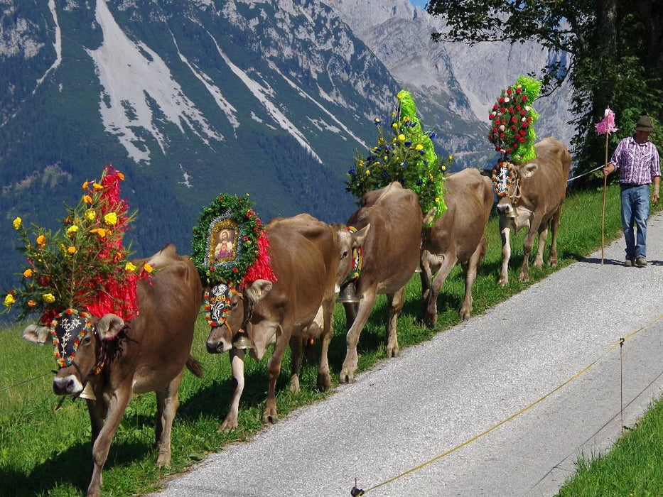 Der Schluss des Zuges kommt vorbei - CALVENDO Foto-Puzzle'