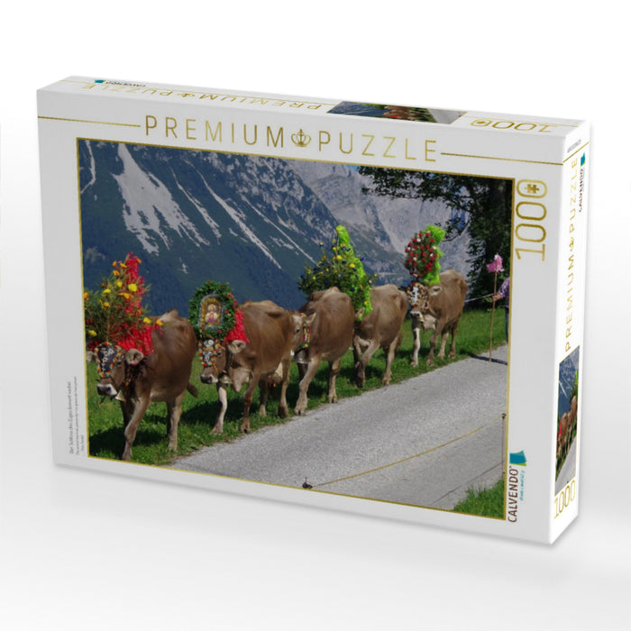 Der Schluss des Zuges kommt vorbei - CALVENDO Foto-Puzzle'