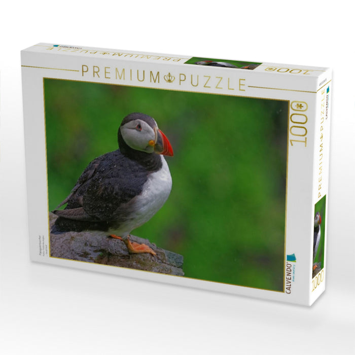 Papageientaucher - CALVENDO Foto-Puzzle'