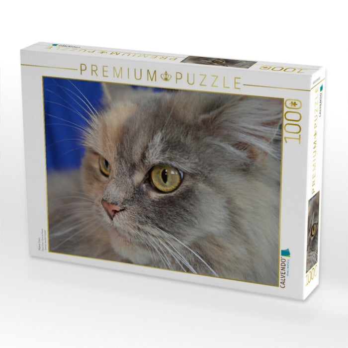 Maine Coon - CALVENDO Foto-Puzzle'