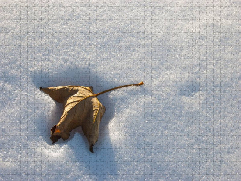 Verdorrtes Blatt im Schnee - CALVENDO Foto-Puzzle'