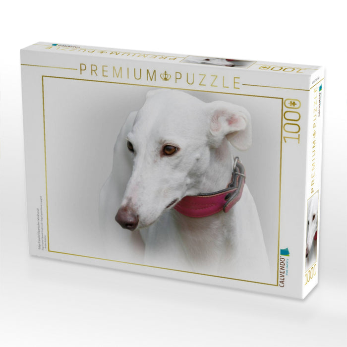 Galgo Español (Spanischer Windhund) - CALVENDO Foto-Puzzle'
