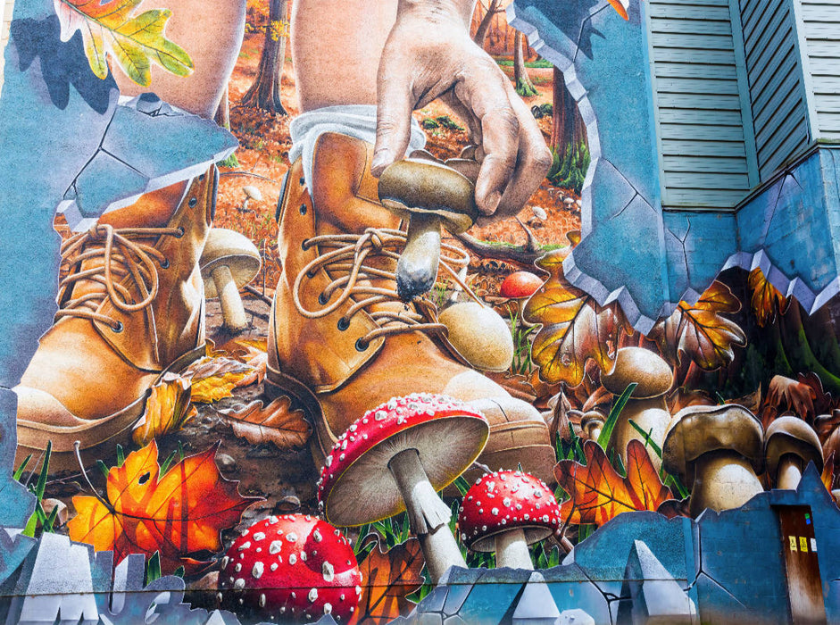 Streetart in Glasgow, Großbritannien - CALVENDO Foto-Puzzle'