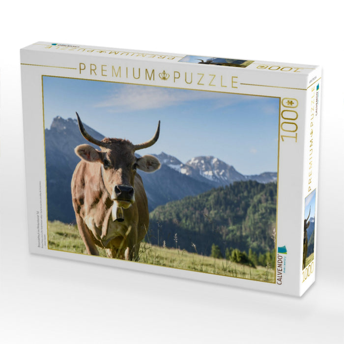 Braunviehkuh im Hintersteiner Tal - CALVENDO Foto-Puzzle'