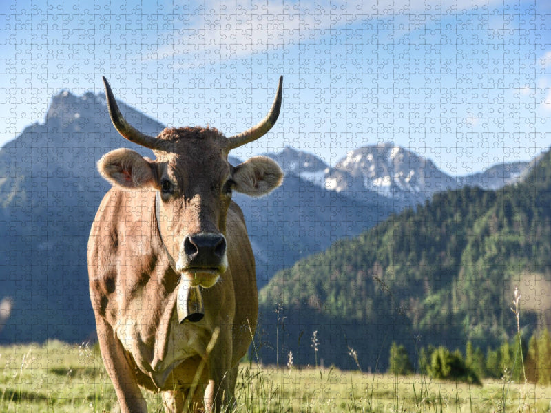 Braunviehkuh im Hintersteiner Tal - CALVENDO Foto-Puzzle'