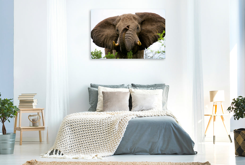 Premium Textil-Leinwand Premium Textil-Leinwand 120 cm x 80 cm quer Ein Motiv aus dem Kalender "Botswana- ungezähmte Natur"