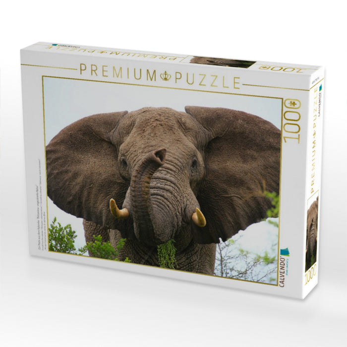 Ein Motiv aus dem Kalender "Botswana- ungezähmte Natur" - CALVENDO Foto-Puzzle'
