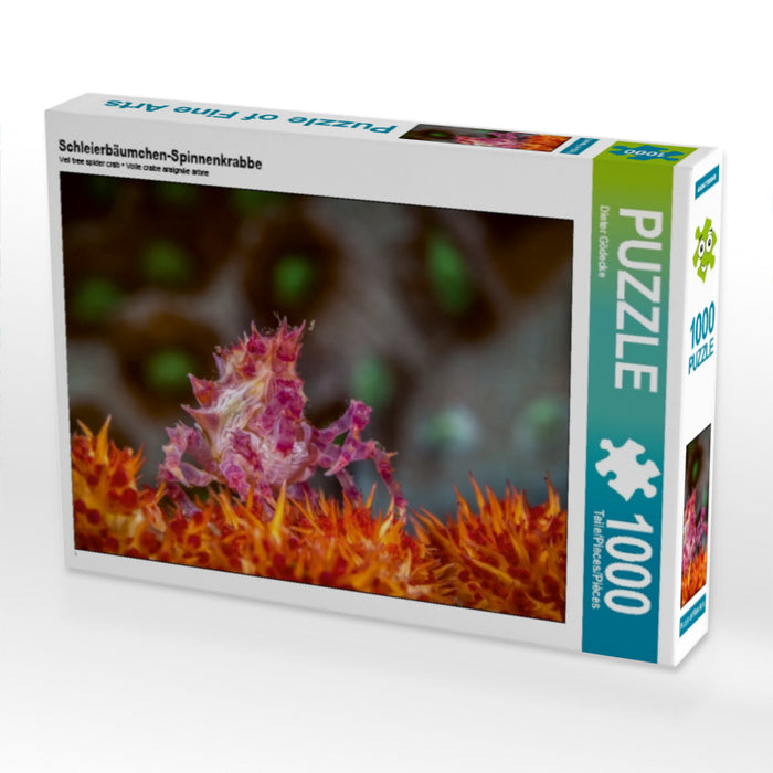 Schleierbäumchen-Spinnenkrabbe 1000 Teile Puzzle quer - CALVENDO Foto-Puzzle'