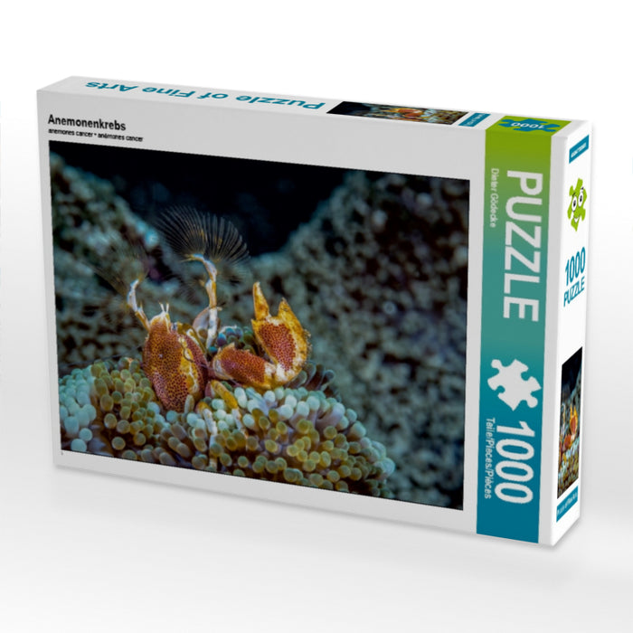 Anemonenkrebs 1000 Teile Puzzle quer - CALVENDO Foto-Puzzle'