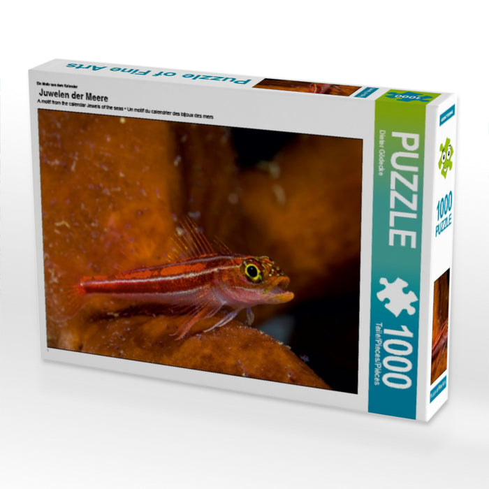 Ein Motiv aus dem Kalender  Juwelen der Meere 1000 Teile Puzzle quer - CALVENDO Foto-Puzzle'