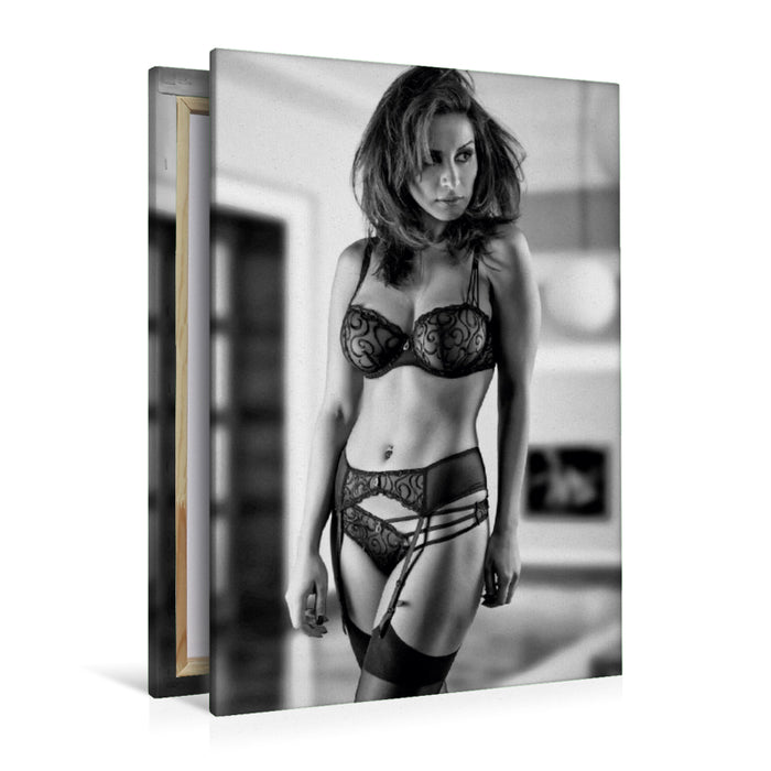Premium Textil-Leinwand Premium Textil-Leinwand 80 cm x 120 cm  hoch Ein Motiv aus dem Kalender NILU LINGERIE 2018