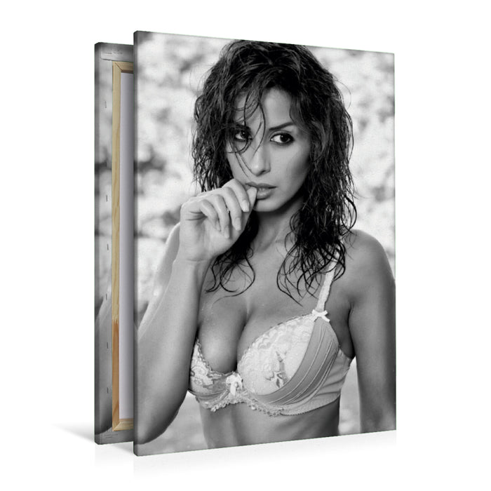 Premium Textil-Leinwand Premium Textil-Leinwand 80 cm x 120 cm  hoch Ein Motiv aus dem Kalender NILU LINGERIE 2018