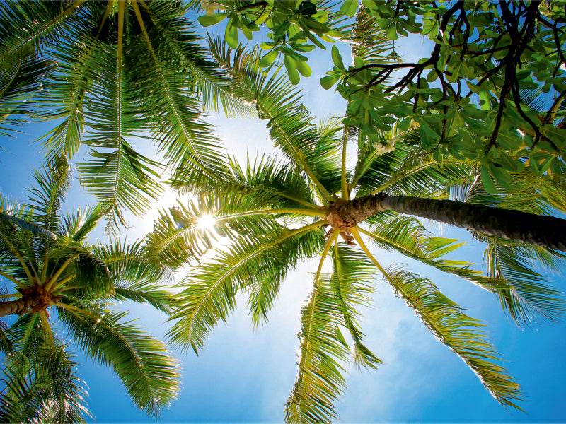 Ein Motiv aus dem Kalender Kauai - Einmal Paradies und zurück 1000 Teile Puzzle quer - CALVENDO Foto-Puzzle'