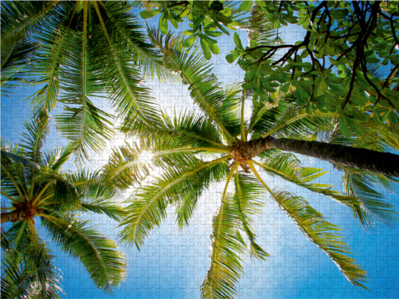 Ein Motiv aus dem Kalender Kauai - Einmal Paradies und zurück 1000 Teile Puzzle quer - CALVENDO Foto-Puzzle'