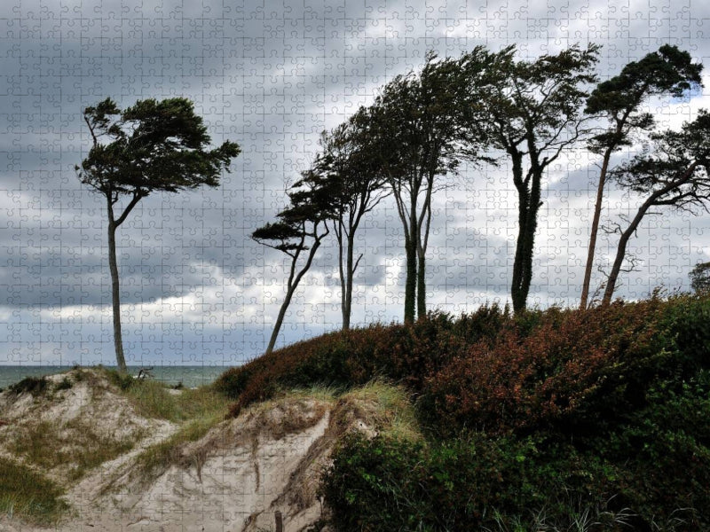 Windflüchter beugen sich quer über den Sand - CALVENDO Foto-Puzzle'
