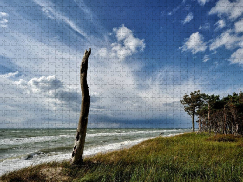 Leben und Tod in der Natur stehen hier dicht beieinander - CALVENDO Foto-Puzzle'