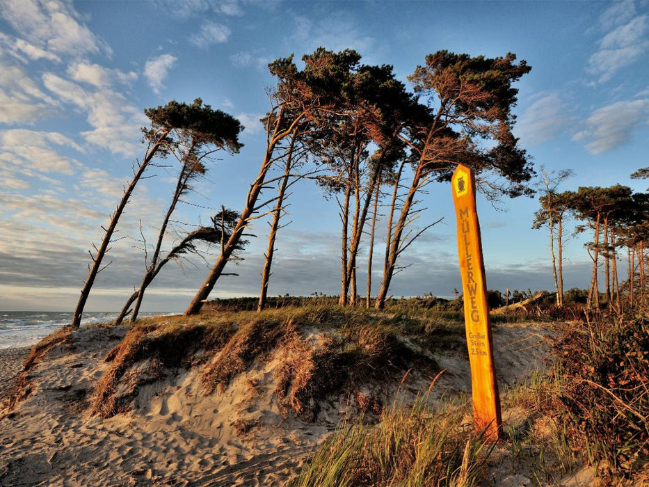 Es gibt Stellen, an denen die Bäume irgendwann Opfer von Wind und Wellen werden - CALVENDO Foto-Puzzle'
