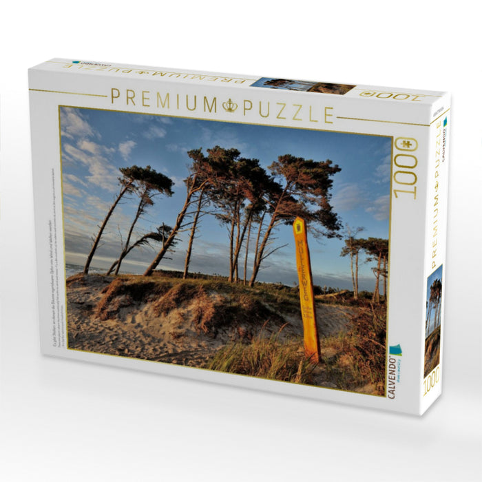 Es gibt Stellen, an denen die Bäume irgendwann Opfer von Wind und Wellen werden - CALVENDO Foto-Puzzle'